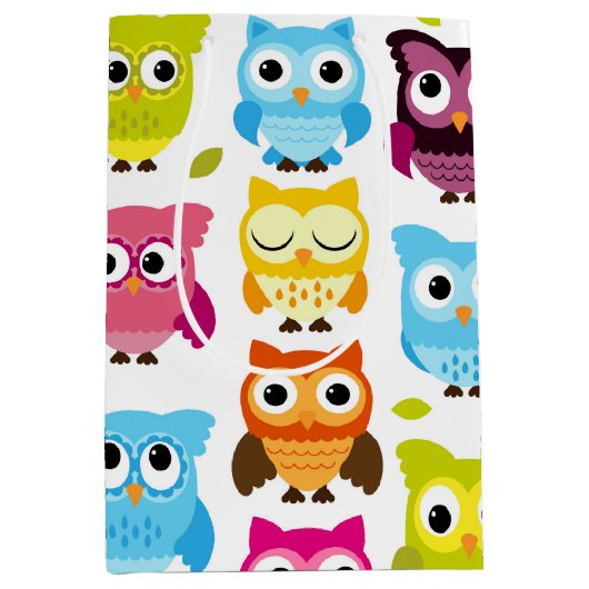 Mooie Retro Owl Medium Cadeauzakje (Voorkant)