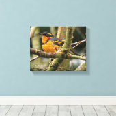 Mooie reuzenhaai in de boom canvas afdruk (Insitu (Houten vloer))