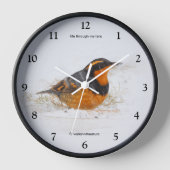 Mooie reuzenhaai in de sneeuw (Voorkant)