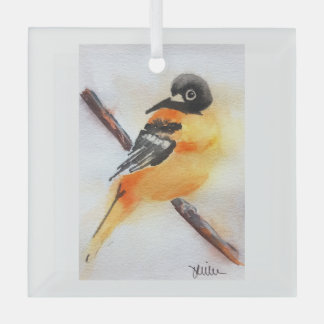 Mooie Robin Waterverf Kerst Glas Ornament