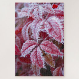 Mooie rode bladeren met stekelige vorst. legpuzzel