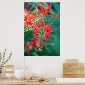 Mooie rode bloemen afdrukken # 6837 poster (Keuken)