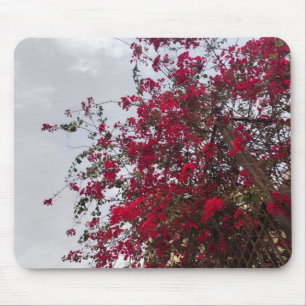 Mooie rode Bougainvillea Bloemen & Bewolkte Lucht Muismat