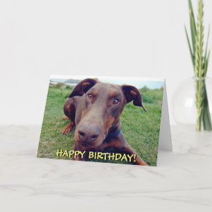 Mooie rode doberman verjaardagskaart kaart