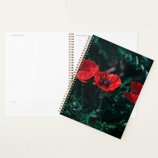 Mooie rode driepuntsbloemen planner (Display)