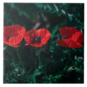 Mooie rode driepuntsbloemen tegeltje