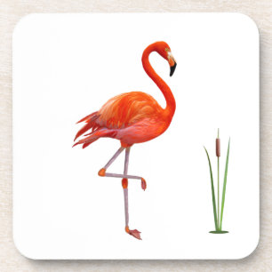 Mooie rode flamingovogel en rietplant op wit bier onderzetter