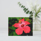 Mooie rode hibiscus bloem briefkaart (Staand voorkant)