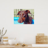 Mooie rode hond poster (Keuken)