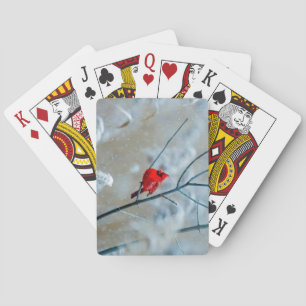 Mooie rode kardinaal in de sneeuw pokerkaarten