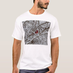 Mooie rode kardinaal in een sneeuwvullend Shirt