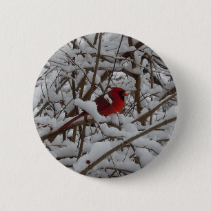Mooie rode kardinaal in sneeuwvullende Button