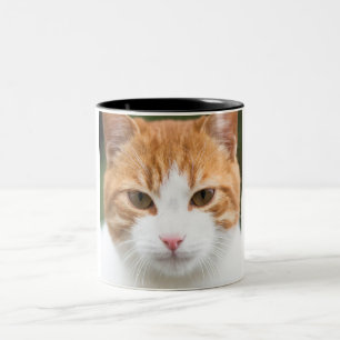 Mooie rode kat tweekleurige koffiemok