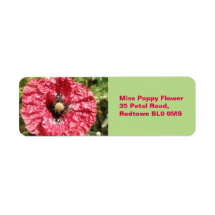 Mooie Rode Klaproes Bloem Macro Aangepaste Labels