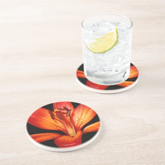 Mooie Rode Oranje Asiatische Lily Gran Paradiso Zandsteen Onderzetter (Zijkant)