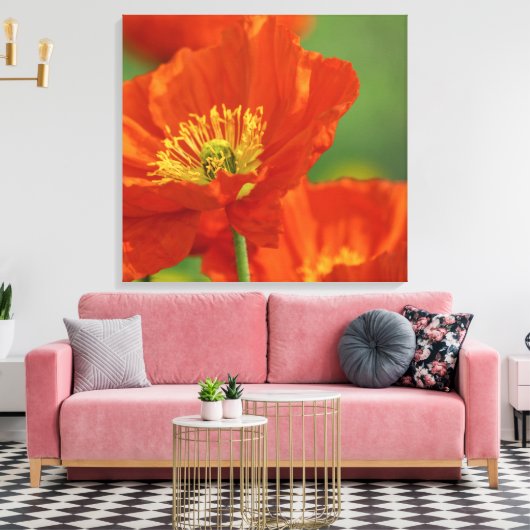 Mooie rode papavery canvas afdruk (Insitu (Woonkamer))