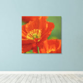 Mooie rode papavery canvas afdruk (Insitu (Houten vloer))