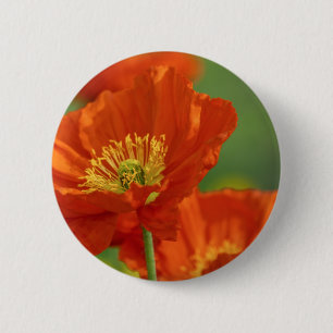 Mooie rode papavery ronde button 5,7 cm