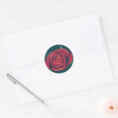 Mooie rode rode rozenbloem Sticker (Envelop)