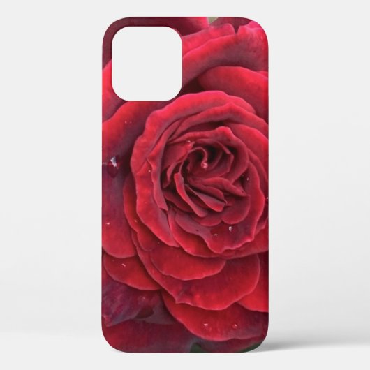 Mooie rode roos iPhone 12 telefoonhoesje Case-Mate iPhone Case (Achterkant)