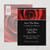 Mooie rode roos Save the Date Briefkaart (Voorkant / Achterkant)