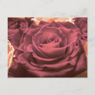 Mooie rode roze rozen bloemen foto romantisch briefkaart