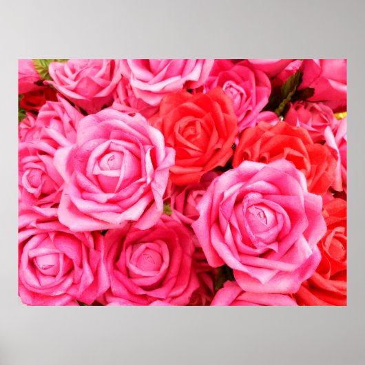 Mooie rode roze rozen poster (Voorkant)