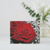 Mooie rode rozen briefkaart (Staand voorkant)