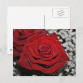 Mooie rode rozen briefkaart (Voorkant / Achterkant)