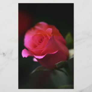Mooie rode rozen briefpapier