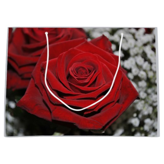 Mooie rode rozen groot cadeauzakje (Voorkant)