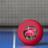 Mooie rode rozen pingpongballen (Net)