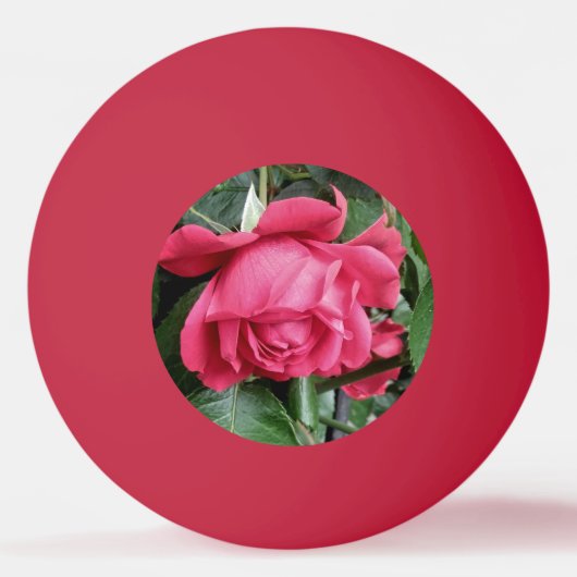 Mooie rode rozen pingpongballen (Voorkant)