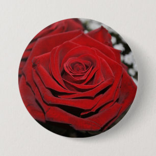 Mooie rode rozen ronde button 7,6 cm