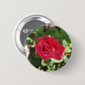 Mooie rode rozenButton Ronde Button 5,7 Cm (Voorkant /achterkant)