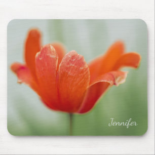 Mooie Rode Tulp Bloemblad Foto Met Uw Naam Muismat