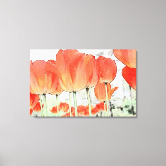 Mooie rode tulp bloemen verpakt canvas (Voorkant)