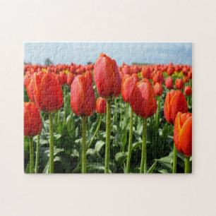 Mooie rode tulpen drukken puzzel