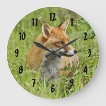 Mooie rode vos/Vixen