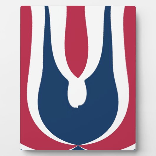 Mooie rode, witte, blauwe textuur kleur Abstract Fotoplaat (Voorkant)