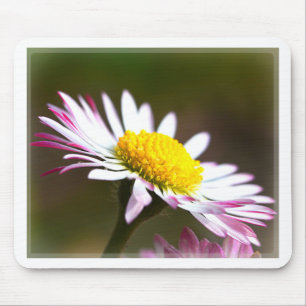 mooie Romaanse romantische bruids van Muismat