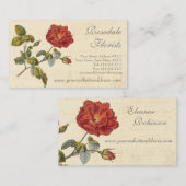 Mooie rood  Roos ouderwets Visitekaartje (Voorkant / Achterkant)