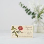 Mooie rood  Roos ouderwets Visitekaartje (Staand voorkant)