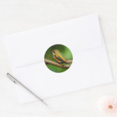 Mooie roofvogel op de Twining Vines Ronde Sticker (Envelop)