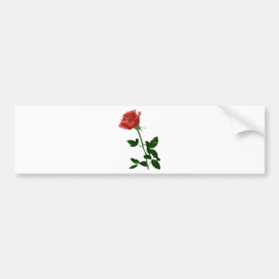 Mooie Roos Bloem Bumpersticker