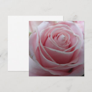 Mooie Roos Bloemkaart