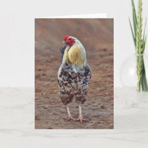 Mooie Rooster Chicken Art Note Kaart