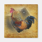 Mooie Rooster en Rustic Barn Chicken Coop Magneet (Voorkant)