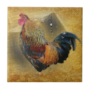 Mooie Rooster en Rustic Barn Chicken Coop Tegeltje