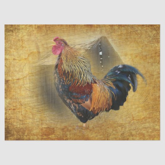 Mooie Rooster en Rustic Barn Chicken Coop Tissuepapier (Voorkant)